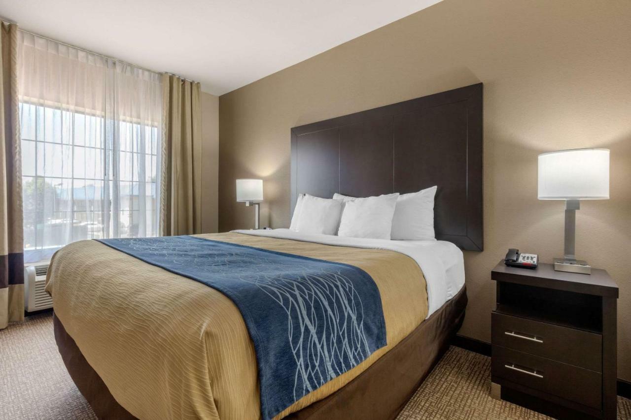 Comfort Inn & Suites North Little Rock Mccain Mall Esterno foto